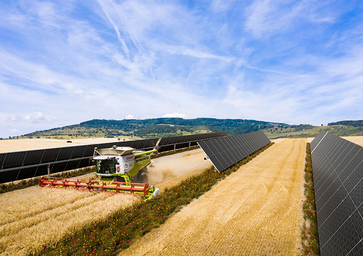 Foto BayWa r.e. recibe 6,5 millones de financiación de la UE para combinar la generación de energía solar con la agricultura en cinco países, incluido España.